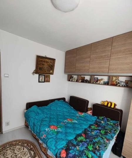 Berceni Giurgiului Luica